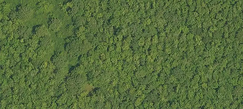 Residential Land