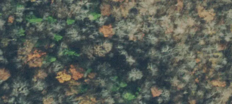 Cumberland Plateau Recreation Land