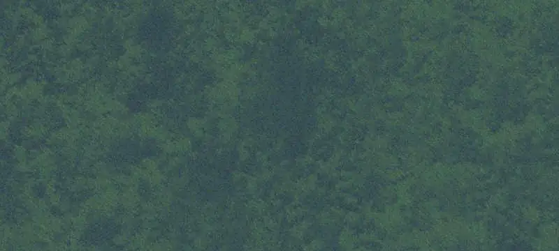 Lot & Land