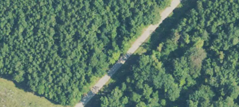 Pine Timber Recreation Land