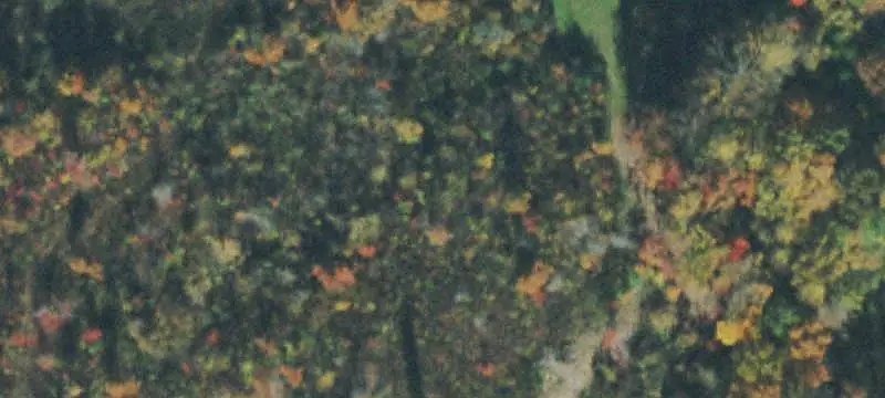 Pasture and Wooded Land