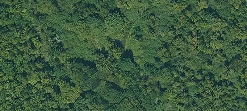 Commercial Land