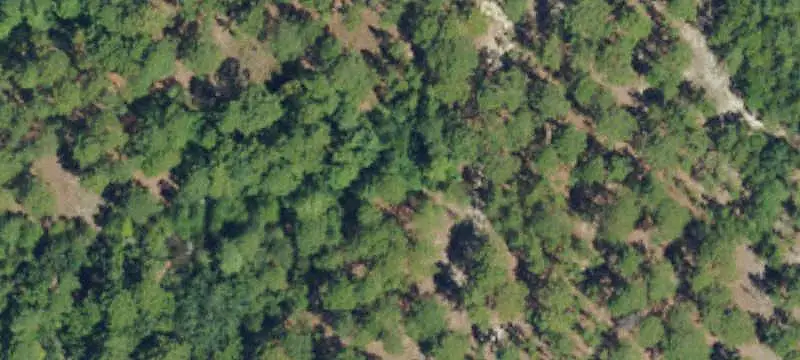 Land/Lot