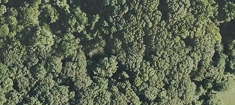 Land Parcel