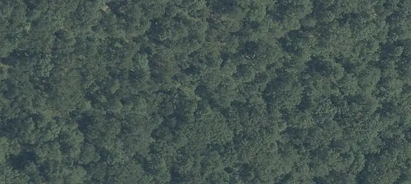 LOTS/LAND / 1+ to 5 Acres