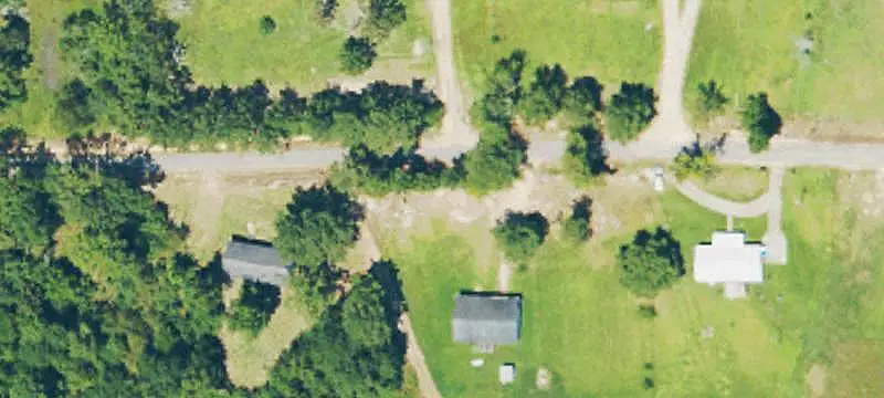 Hunting Land with Pine Plantation