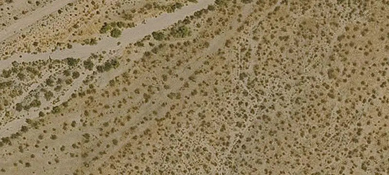 Land / Agriculture