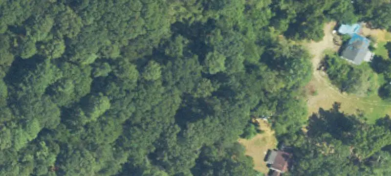 Commercial Land
