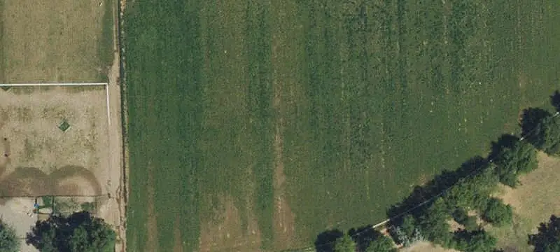 Farm with Home and Outbuildings