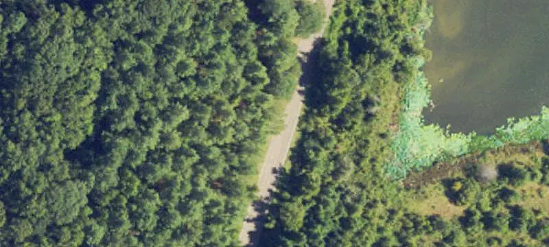 Timberland Hunting Property