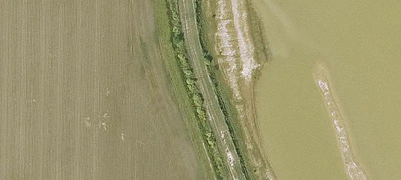 Irrigated Cropland Farm