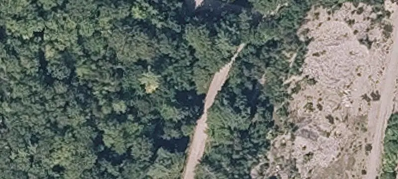 Timbered Hunting Land