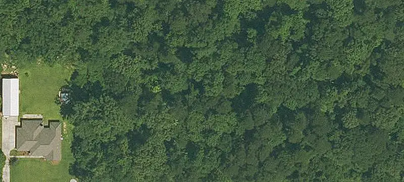 Wooded Commercial Land