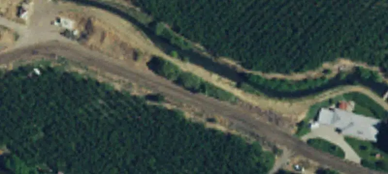 Cherry and Wine Grape Farm