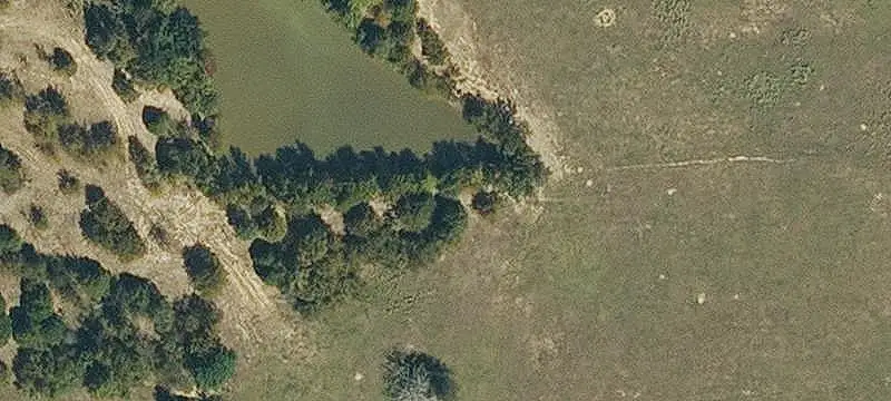 Cattle Farm with Residence