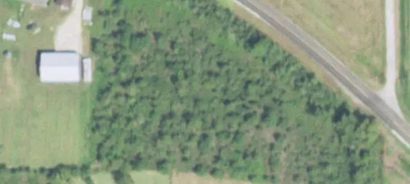 Land or Vacant Lot
