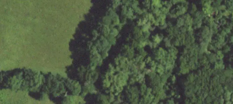Hunting Land with Brick Home