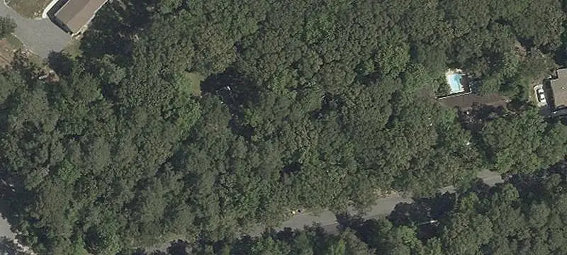 Wooded Commercial Land