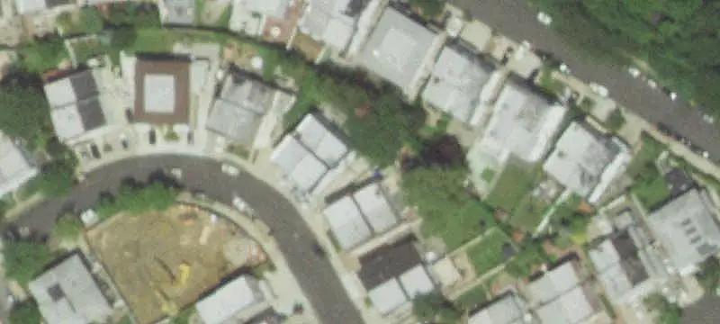 Triplex