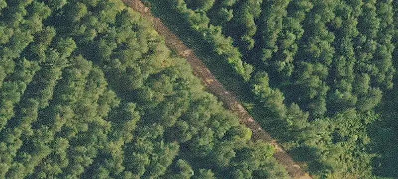 Recreational Land with Hardwood Drains