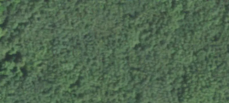 Wooded Hunting and Recreation Land