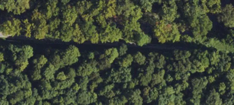Hunting Land with Trail System