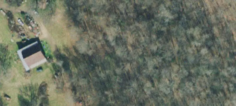 Hunting Land with Cabin