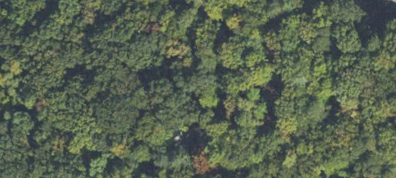 Land/Lot