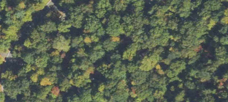 Land/Lot