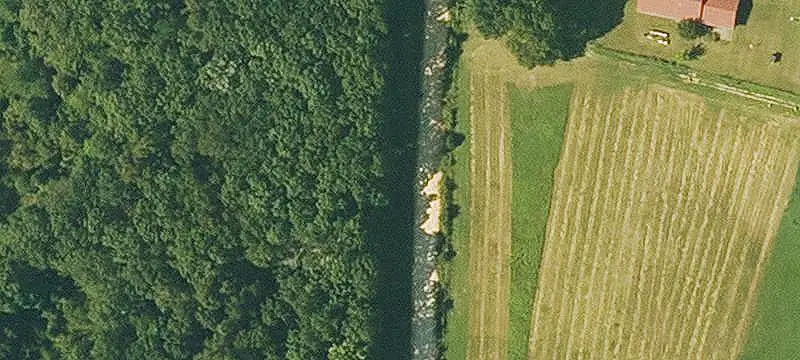 Poultry Farm with Multiple Houses