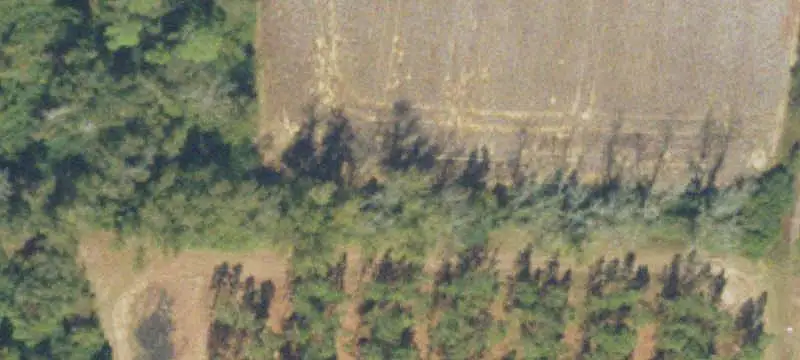Red Hills Hunting Land