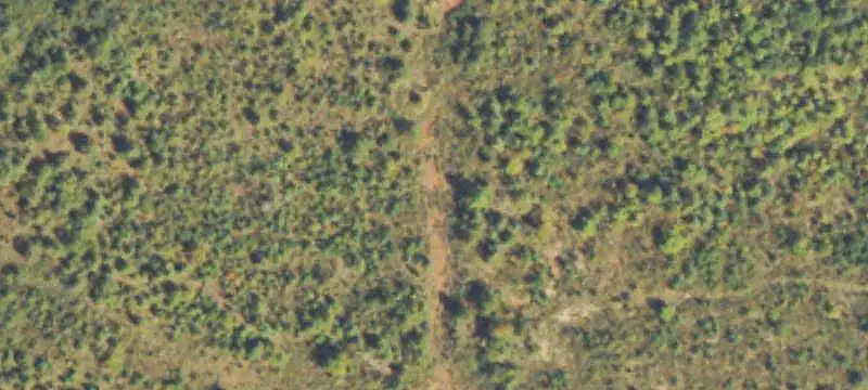 Commercial Land