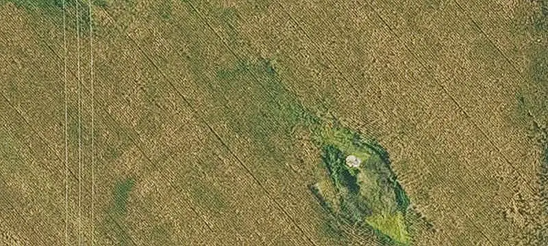 Agricultural Farmland