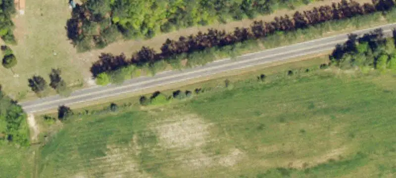 Wooded Hunting Land