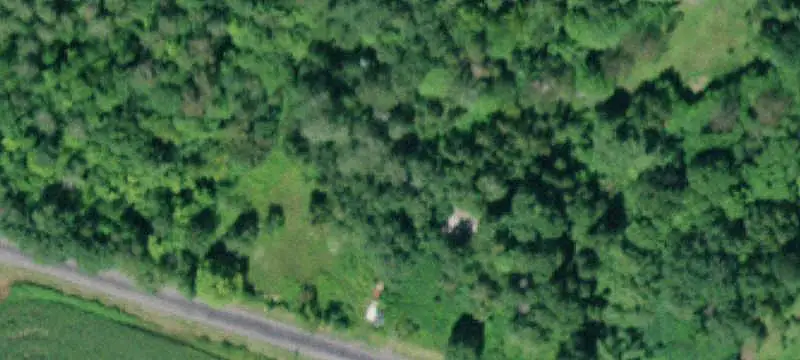 Wooded Recreational Land