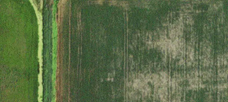 Agricultural Land with Cabin