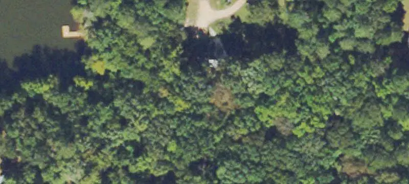 Wooded Recreational Land