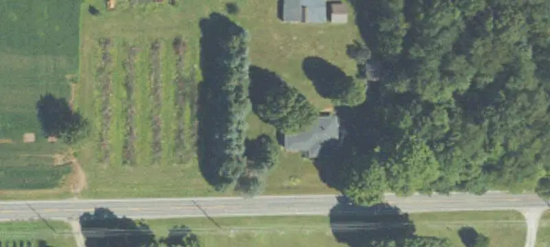 Commercial Vineyard with Agricultural Barns