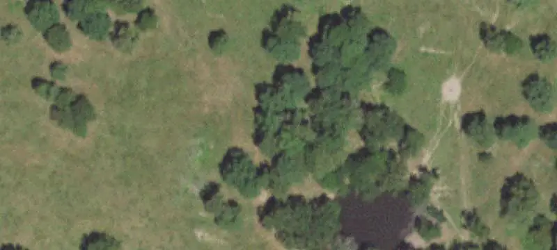 Pasture and Timber Land