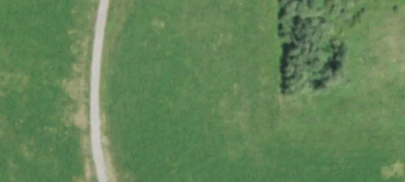Ranch with National Forest Adjacency