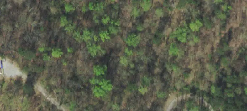 Undeveloped Land
