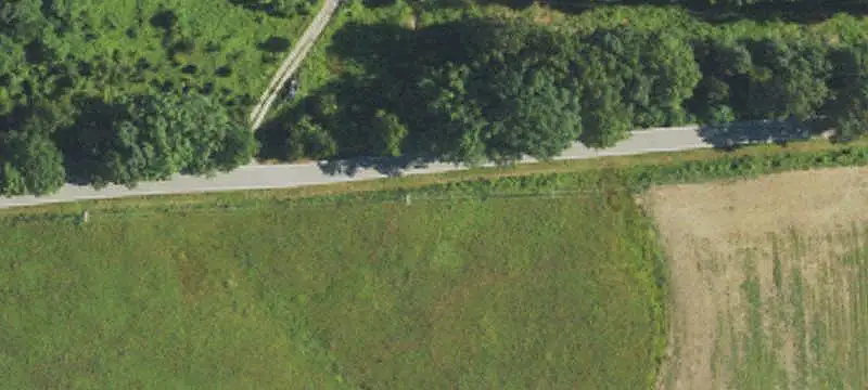 Bottomland Farm