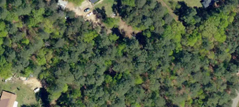 Hunting Land with Internal Trails