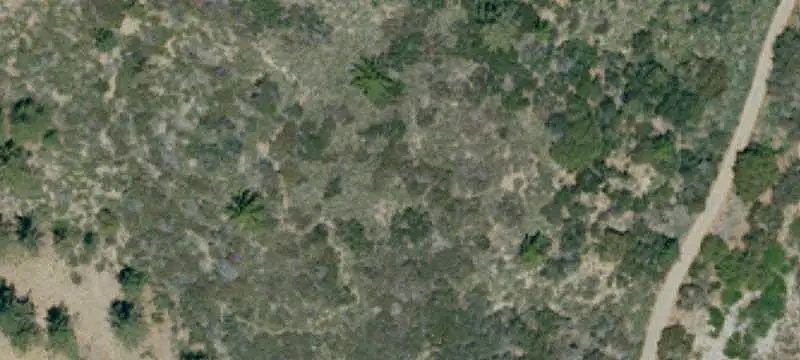 LAND