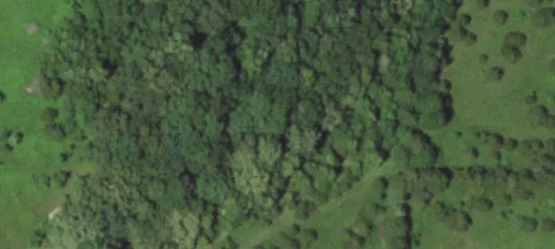 Hunting Land with Pond