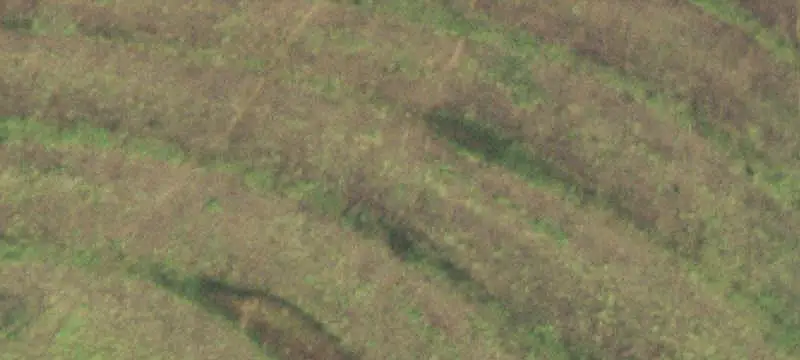 Acreage