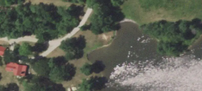 Farmland with Pond