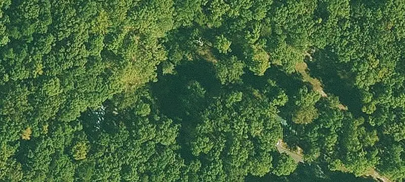 Wooded Land Parcel