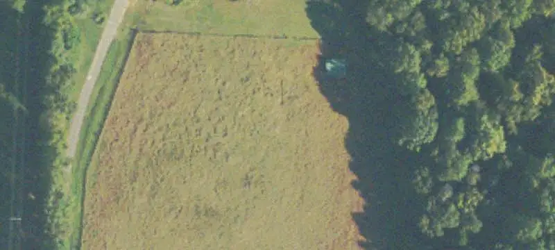Agricultural Land