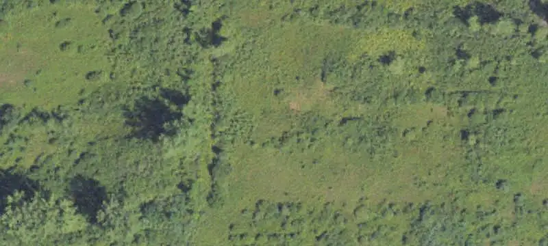 Hunting Land with Pole Barn